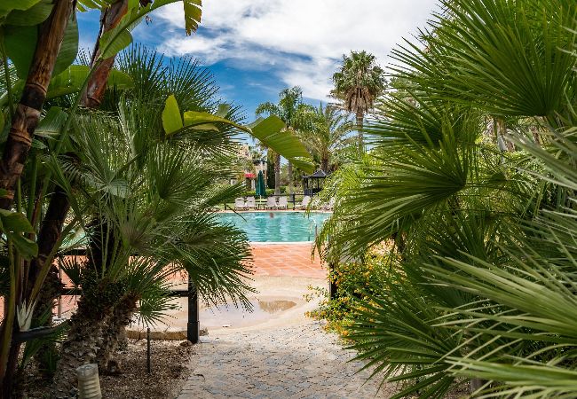 Apartamento em Quarteira - Palmyra