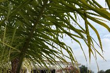 Villa in Albufeira - Villa 29